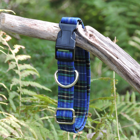 Dog Collar~ Med & Large Dogs