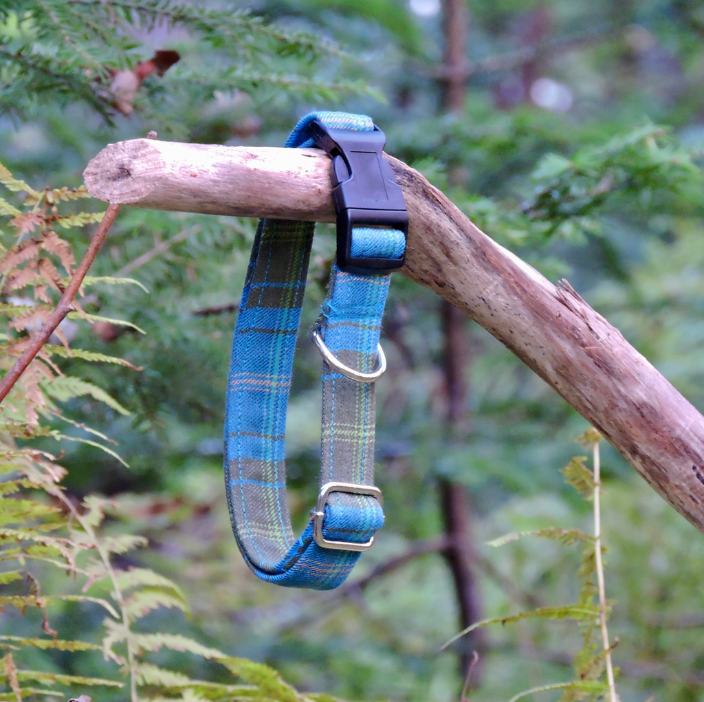 Dog Collar Clan & Speciality Tartan