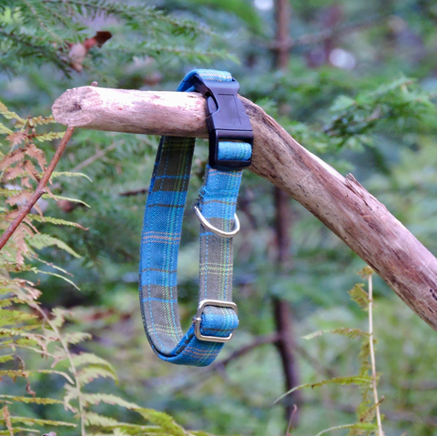 Dog Collar Clan & Speciality Tartan