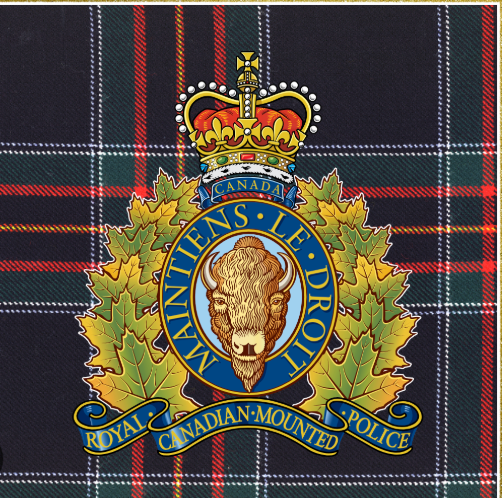 Christmas Stocking Ornament Service Tartans