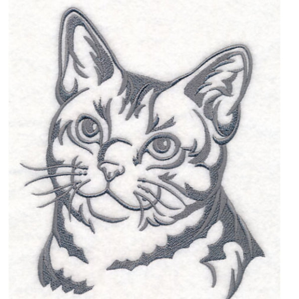 Bespoke Fitted Masks- Cats