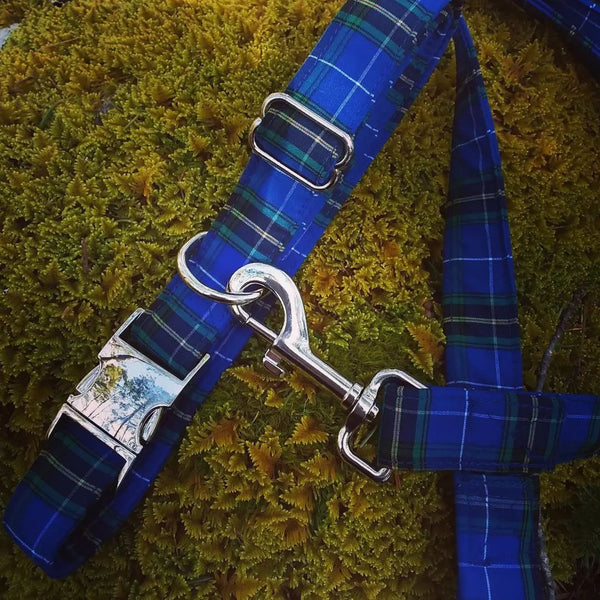 Tartan Dog Collar~Metal Clasp