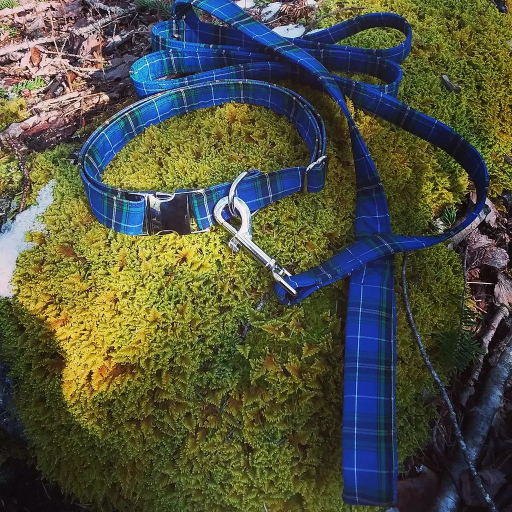 Nova Scotia Tartan Dog Leash
